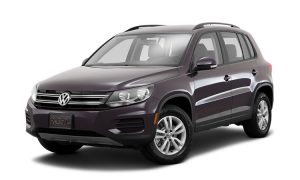 Read more about the article Tiguan